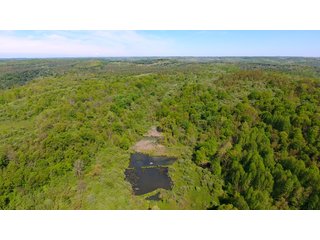 Property photo 3 - LAND AUCTION - 2,596+/- ACRES IN 28 TRACTS IN COSHOCTON & MUSKINGUM COUNTIES, OHIO
